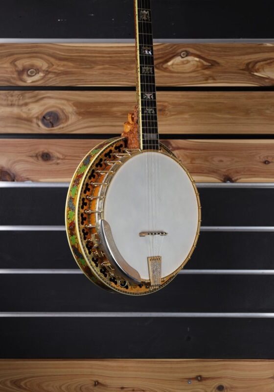 buckmaster special 5 string banjo