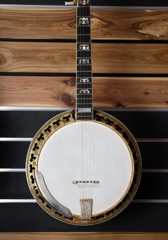 buckmaster special 5 string banjo