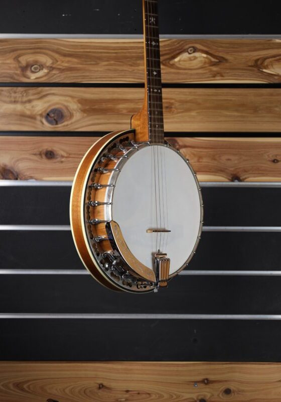 buckmaster tenor banjo