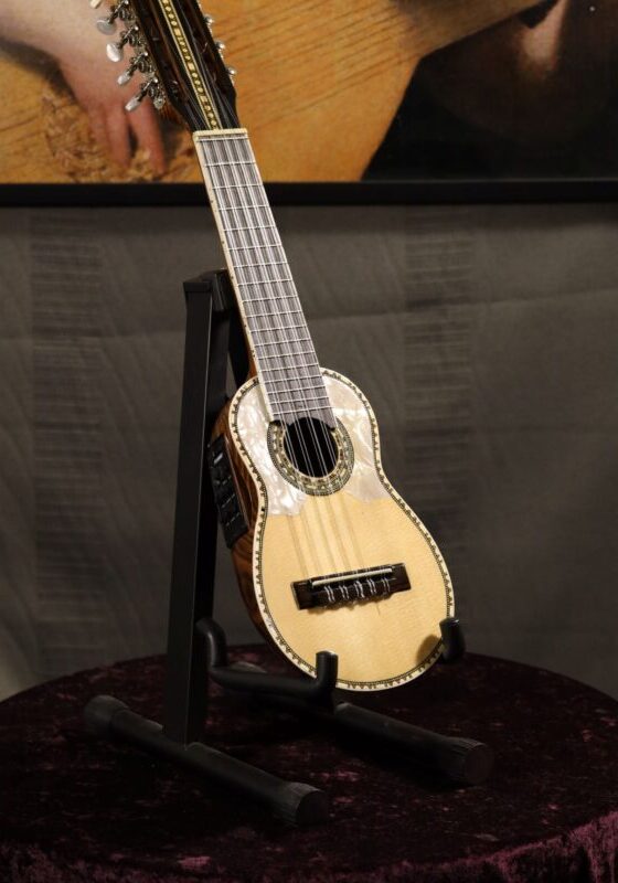 charango by alandres with fishman pick up