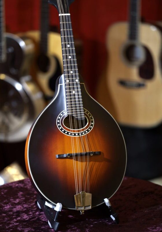 eastman md304 mandolin range