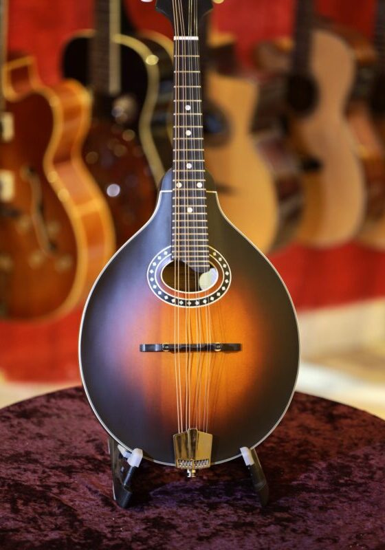 eastman md304e sb mandolin