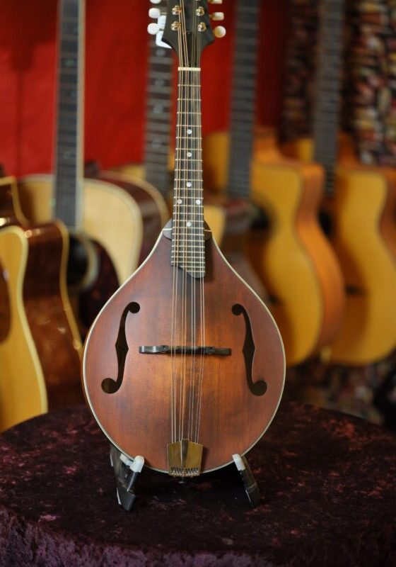 eastman md305 mandolin