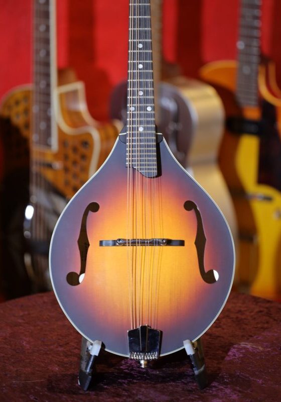 eastman md305e sb mandolin