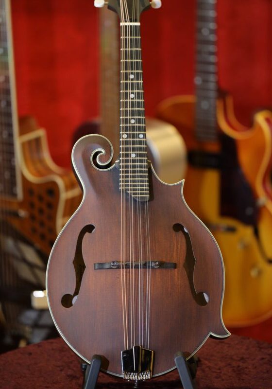 eastman md315 mandolin range