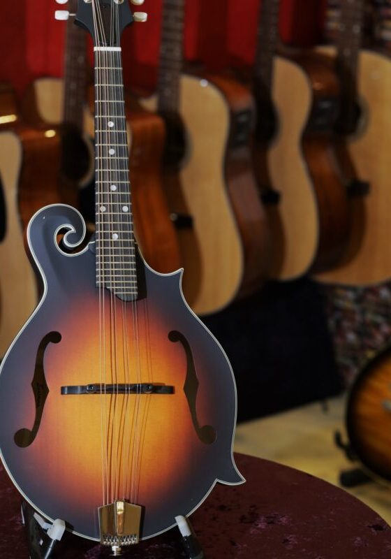 eastman md315e sb mandolin