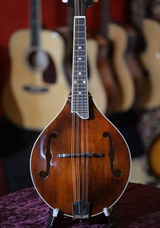 eastman md505 mandolin