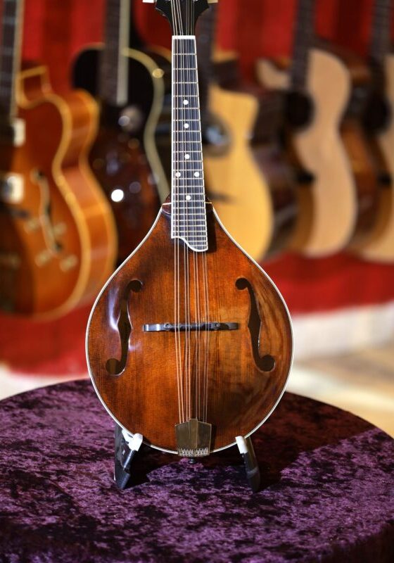 eastman md505 mandolin