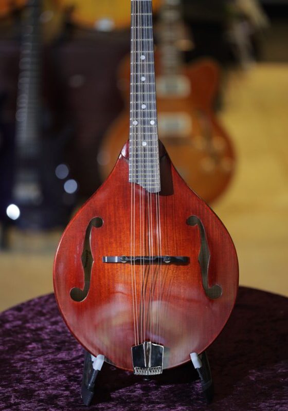 eastman md505cc tv mandolin