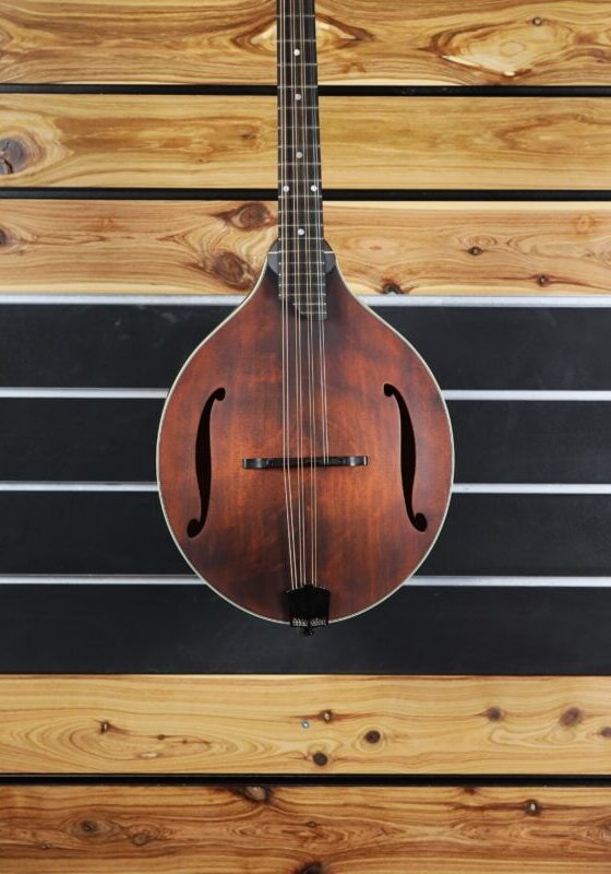 eastman mdo 305 octave mandolin range