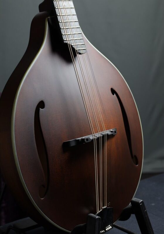 eastman mdo305 octave mandolin shaded