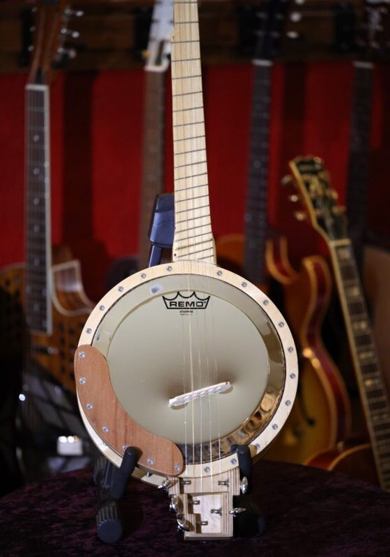 fan fret 5 string banjo