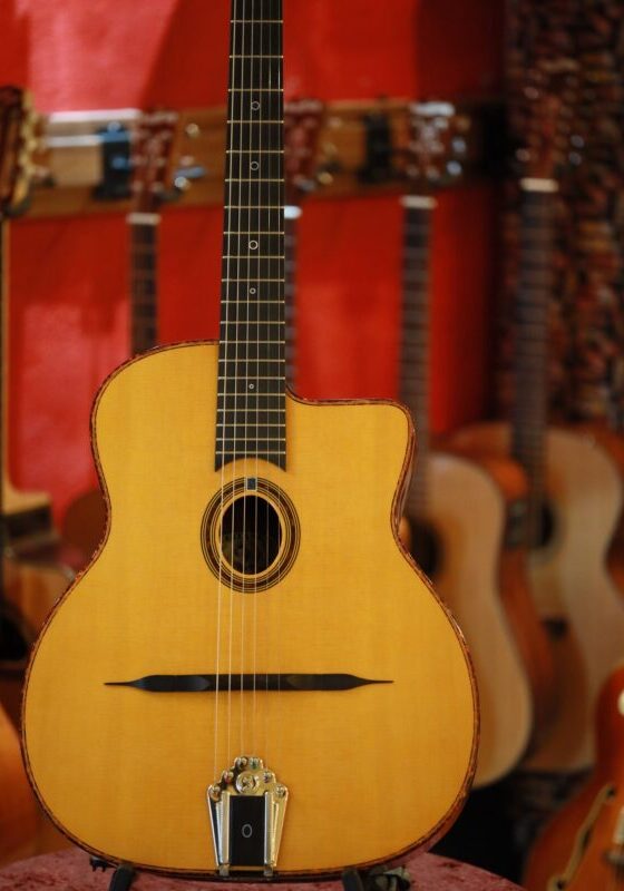 gitane dg 310 lulo reinhardt model