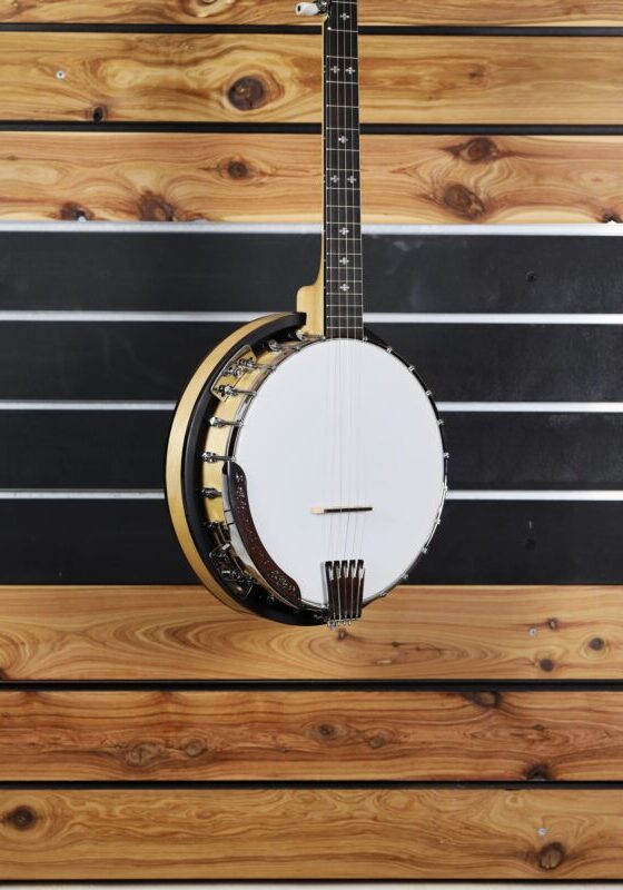 gold tone cc 100r banjo