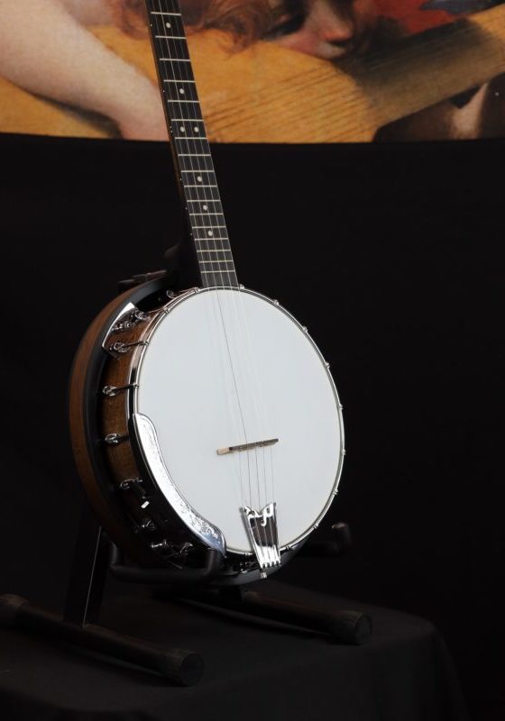 gold tone cc 50rp banjo