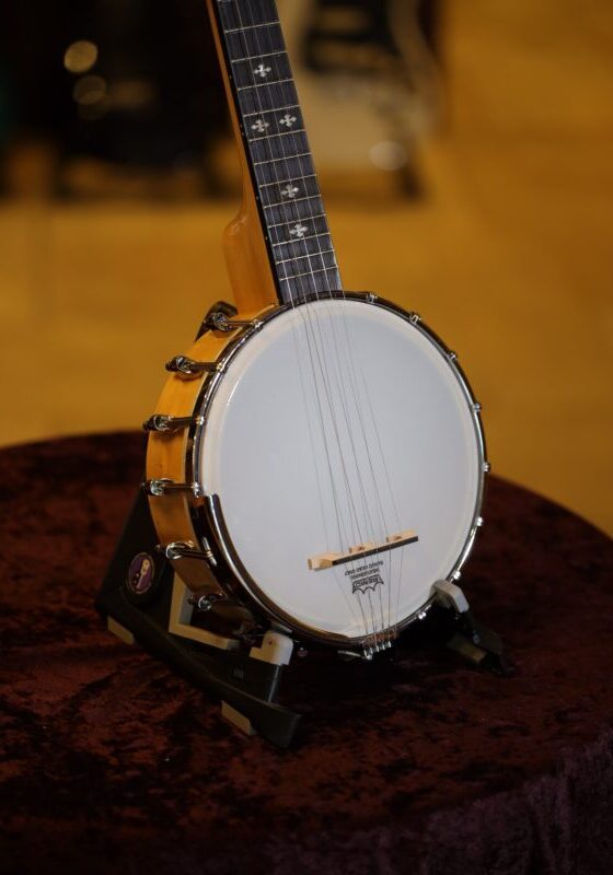 gold tone cripple creek mini banjo