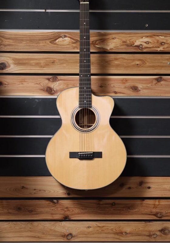 gold tone gbg baritone guitar