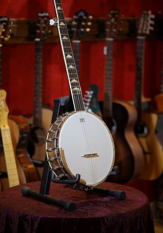 gold tone wl 250 banjo