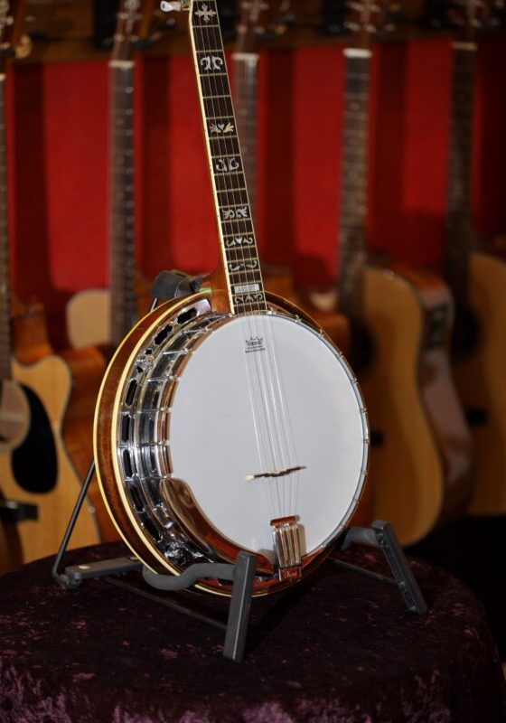 ibanez artist 5 string banjo