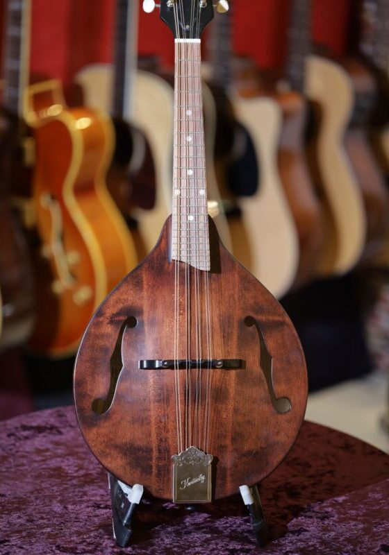 kentucky km 206 mandolin