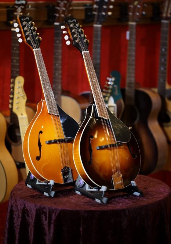 kentucky km 250 mandolin range