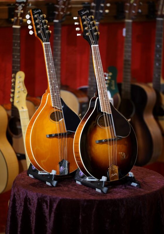 kentucky km 270 mandolin range