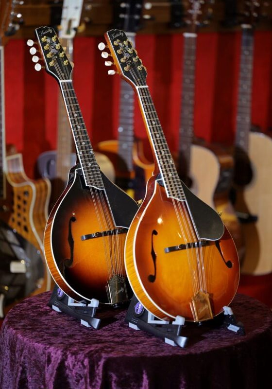 kentucky km 500 mandolin range