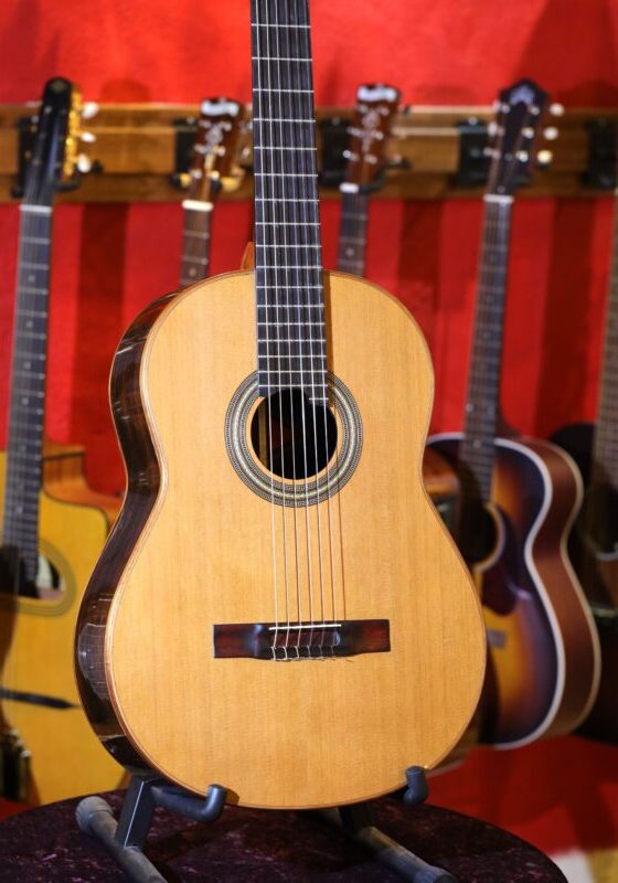 litchfield classical guitar