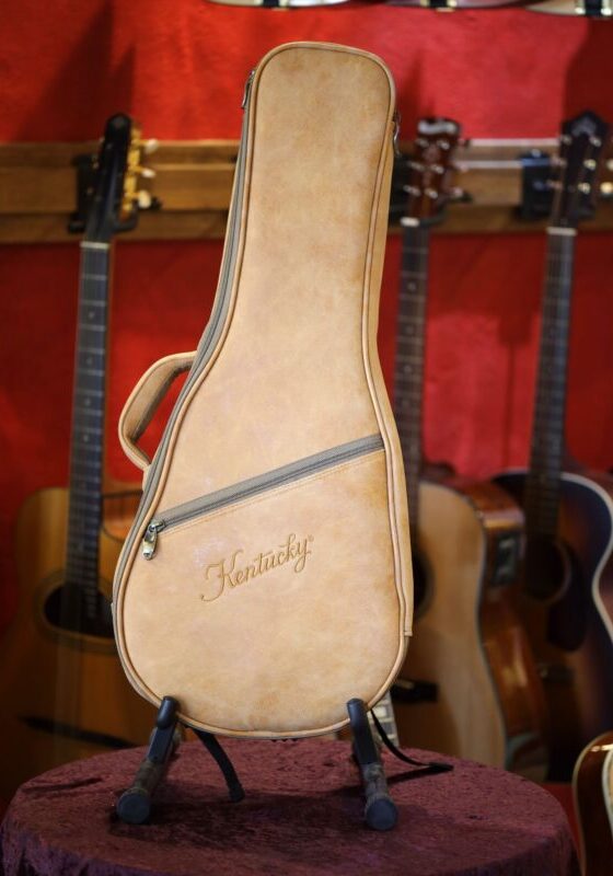 mandolin gigbag by kentucky