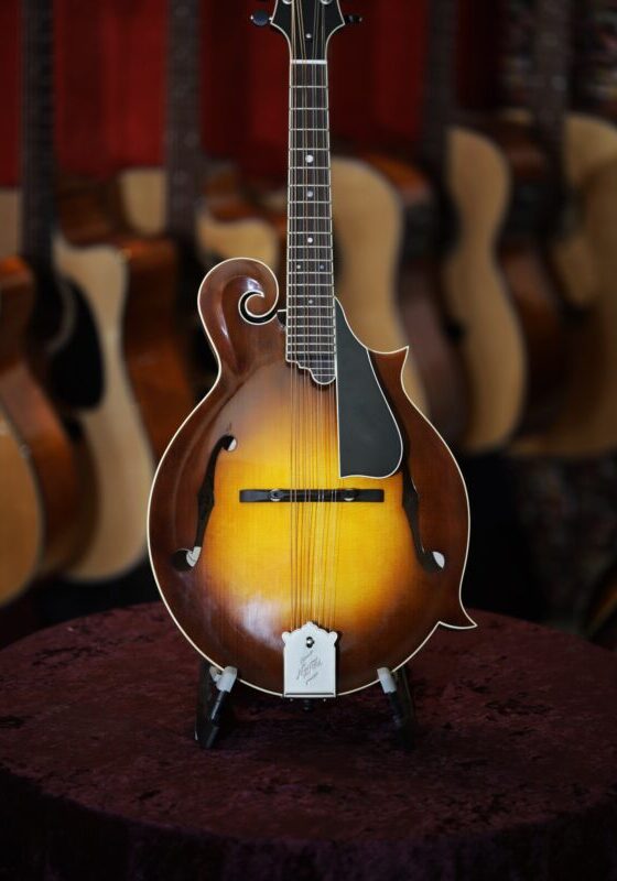 northfield big mon mandolin