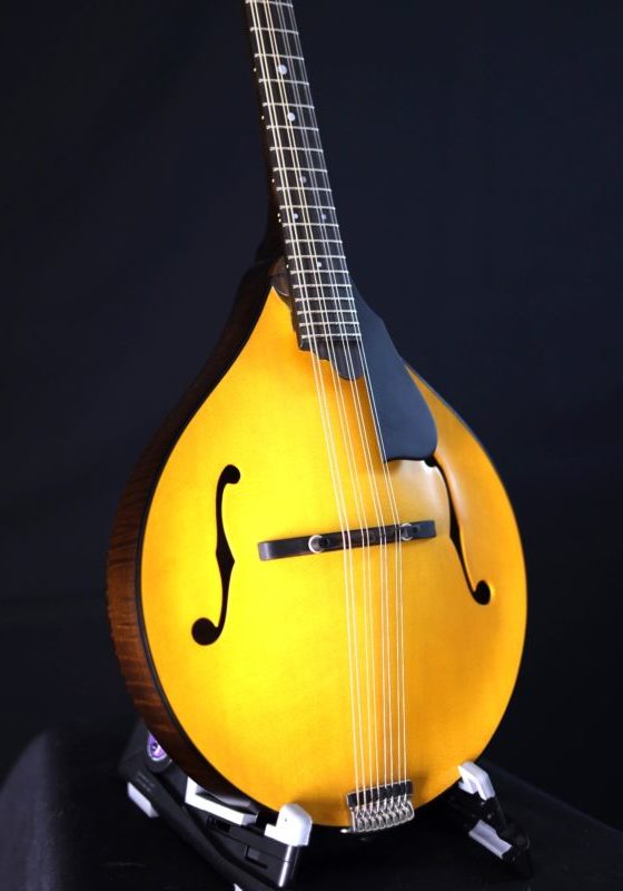northfield model m mandolin