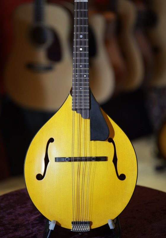 northfield model m mandolin