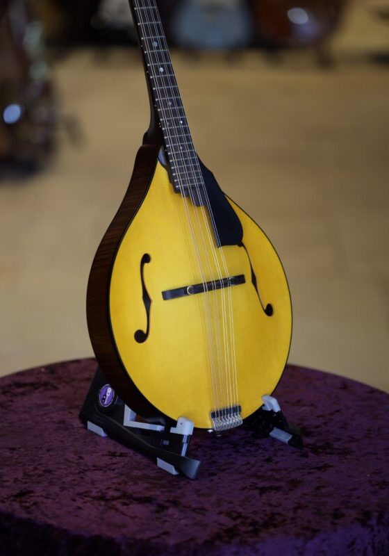 northfield model m mandolin