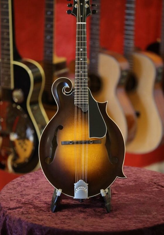 northfield s series mandolin