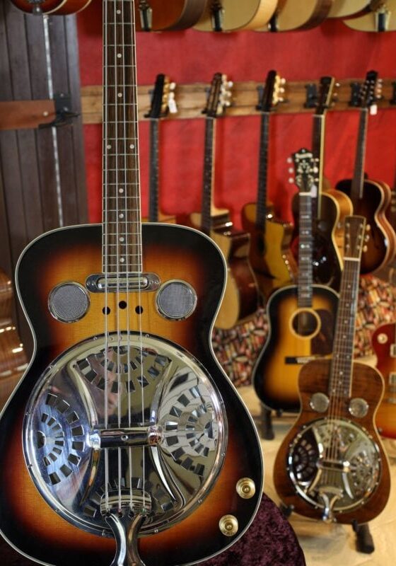 regal rd 05e resonator bass guitar