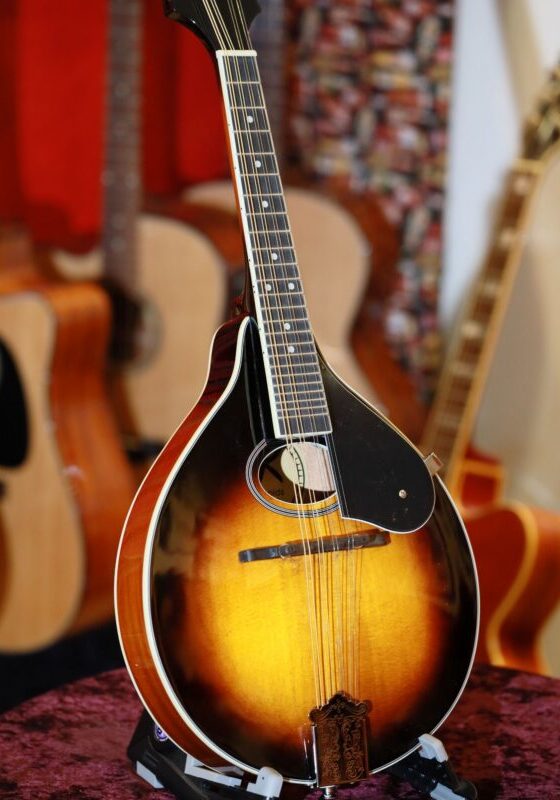reynolds roundhole mandolin