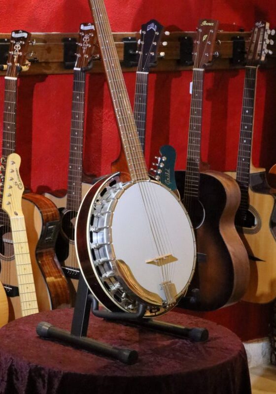 rover rb 45g banjo