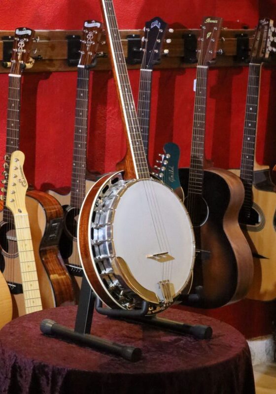 rover rb 45p banjo