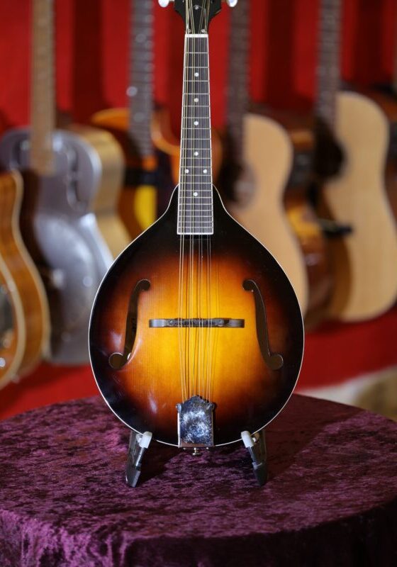 rover rm 50 mandolin