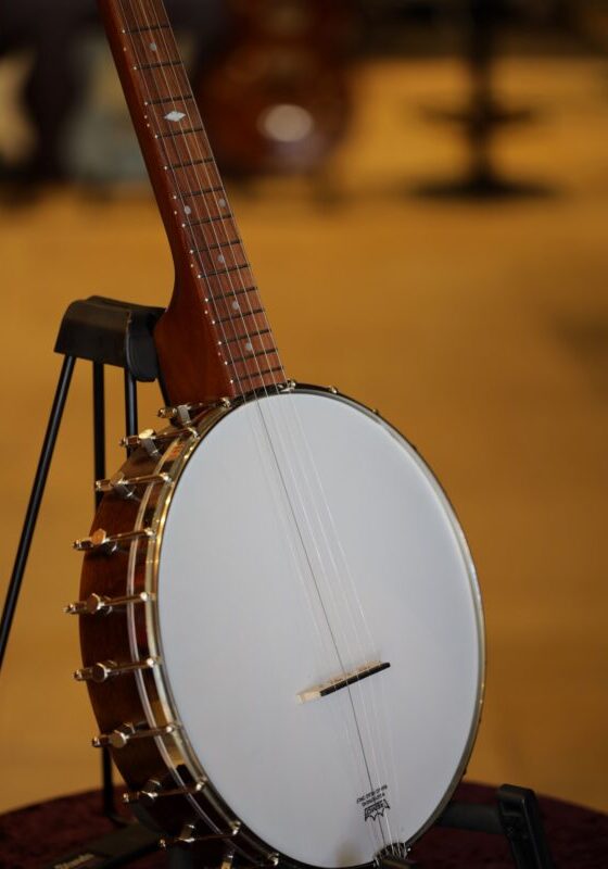 saga ss 10 openback banjo