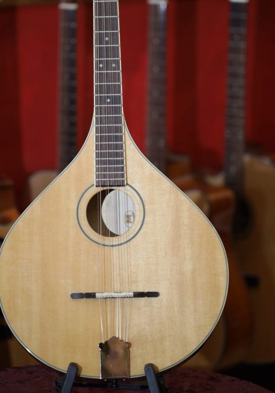 trinity college tm 375 irish bouzouki