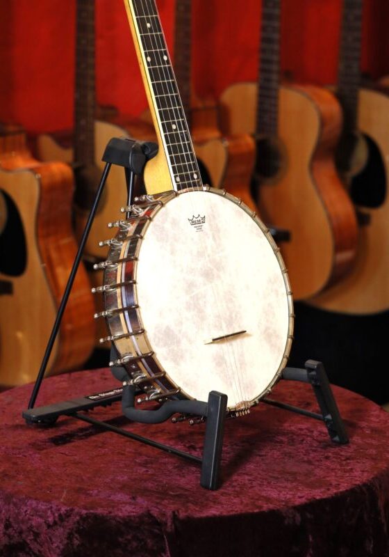 vega whyte laydie banjo