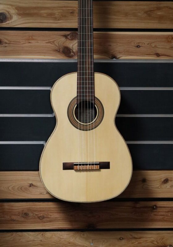 vicente arias 1875 copy 2025